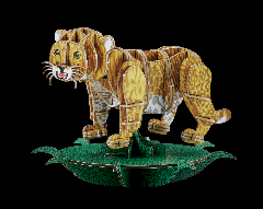 DX(p)BigCatBabies CI(MOVE)