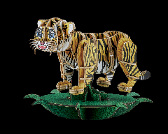 DX(p)BigCatBabies (MOVE)