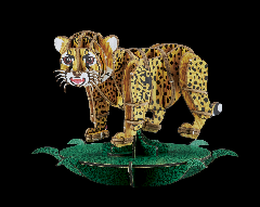 DX(p)BigCatBabies `[^[(MOVE)