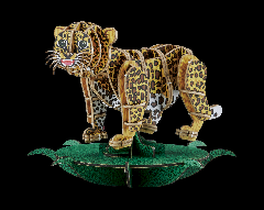 DX(p)BigCatBabies qE(MOVE)