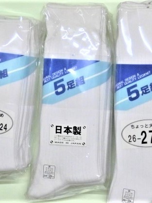 am[J[̑蕨T