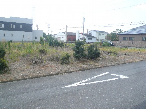 愛知県一宮市で樹木・植栽の撤去及び整地作業