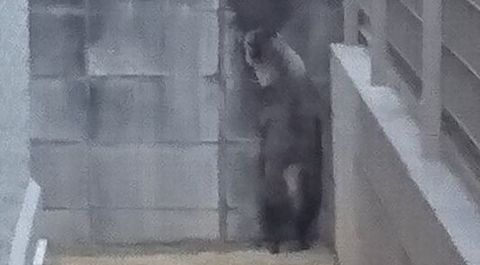 EѕԂt(Qb΍j@ZLeB[