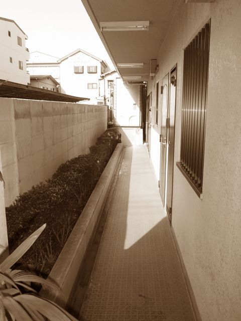}VA̓tH[iLj@Ex`@ΐΕ~@鐫A@A̒