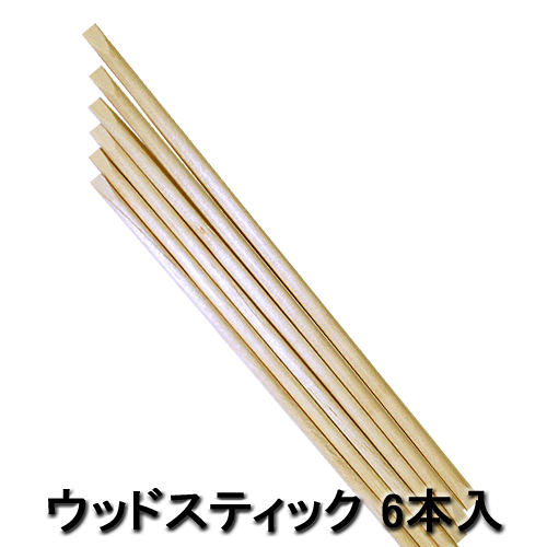 ポリッシュ ジェルネイル必需品 ウッドスティック 6本入 甘皮処理 ネイルアート ジェルオフ セルフネイル マイナスイオンドライヤー ヘアアイロン 理容用品通販サイト ブライト