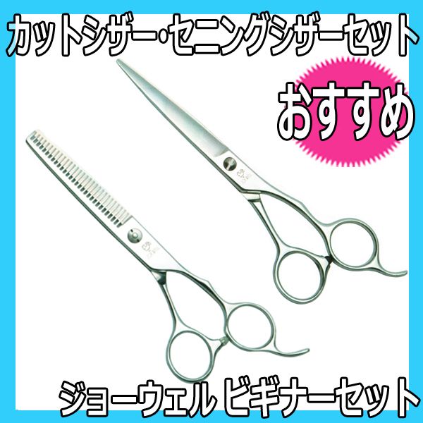【代引き不可】 新人美容師や学生さんに ジョーウェルのカットシザーとセニングシザーのビギナーセット ケース付 JOEWELL｜マイナスイオン