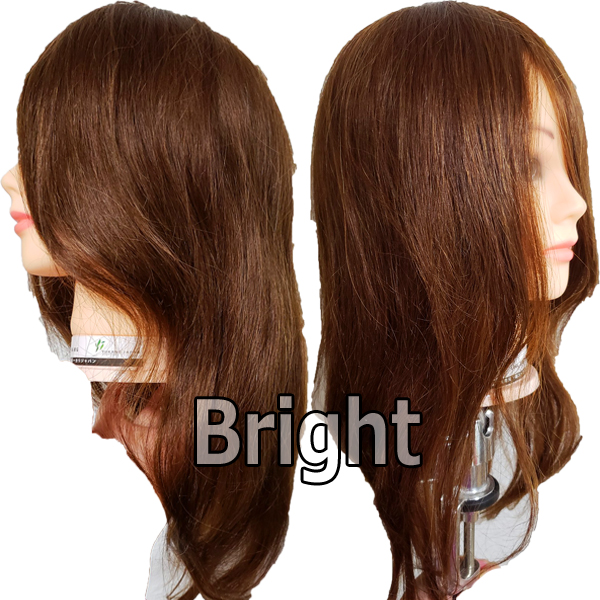 ロングウィッグ 人毛100 茶髪 Yj 22lb ロングウィッグ 編み込み アップスタイル パーティーヘアーのヘアアレンジ練習に マイナスイオンドライヤー ヘアアイロン 理容用品通販サイト ブライト ロングウィッグ 人毛100 茶髪 Yj 22lb ロングウィッグ 編み込み アップスタイル パーティーヘアーのヘアアレンジ練習に マイナスイオンドライヤー ヘアアイロン 理容用品通販サイト ブライト