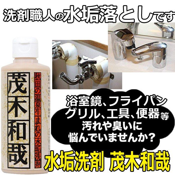 洗剤職人の水垢落とし 茂木和哉 水アカ洗剤 0ml キッチン トイレ 浴室 お風呂浴槽 工具 洗面台の掃除におすすめ マイナスイオンドライヤー ヘアアイロン 理容用品通販サイト ブライト