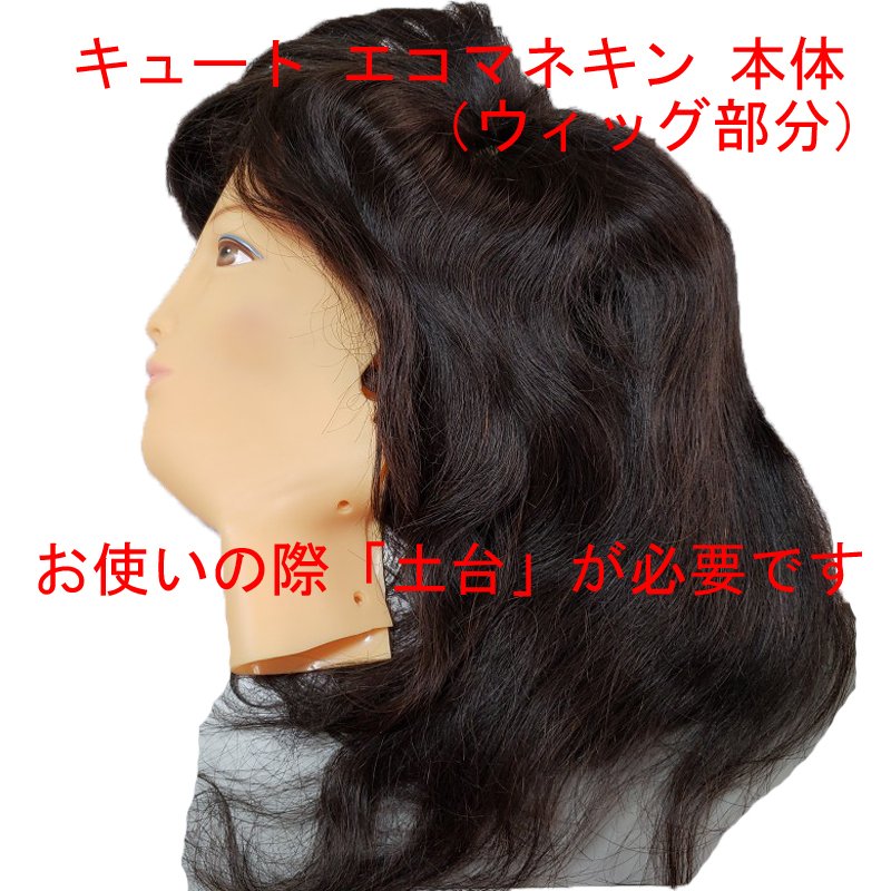 レジーナ 方鬢100 ウィッグ お髪硬化代 美容御師さん 練習用 Whirledpies Com