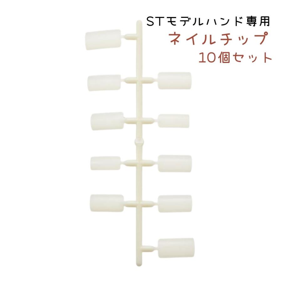 ネイリスト技能検定　認定ハンド用チップコスメ/美容