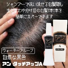 簡単 シャンプーで落とせる 白髪隠し マスカラタイプ 日本製 ヘンケル アン タッチアップA 自然な黒色 22ml 雨汗に強いウォータープルーフ 白髪ぼかし