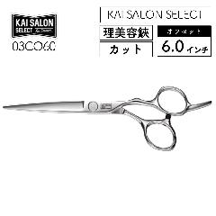 L JCTZNg JbgVU[ ItZbg 6.0C` 03CO60 et e vp KAI SALON SELECT