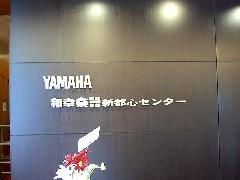 XeX