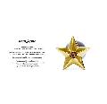 amp japan 8ah-174g Star pierced 