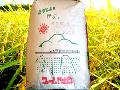 コシヒカリ 玄米30kg