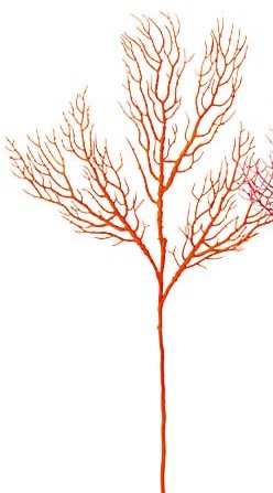 륹ץ쥤ʥ󥸡˥ݥ̣ţӣУ
