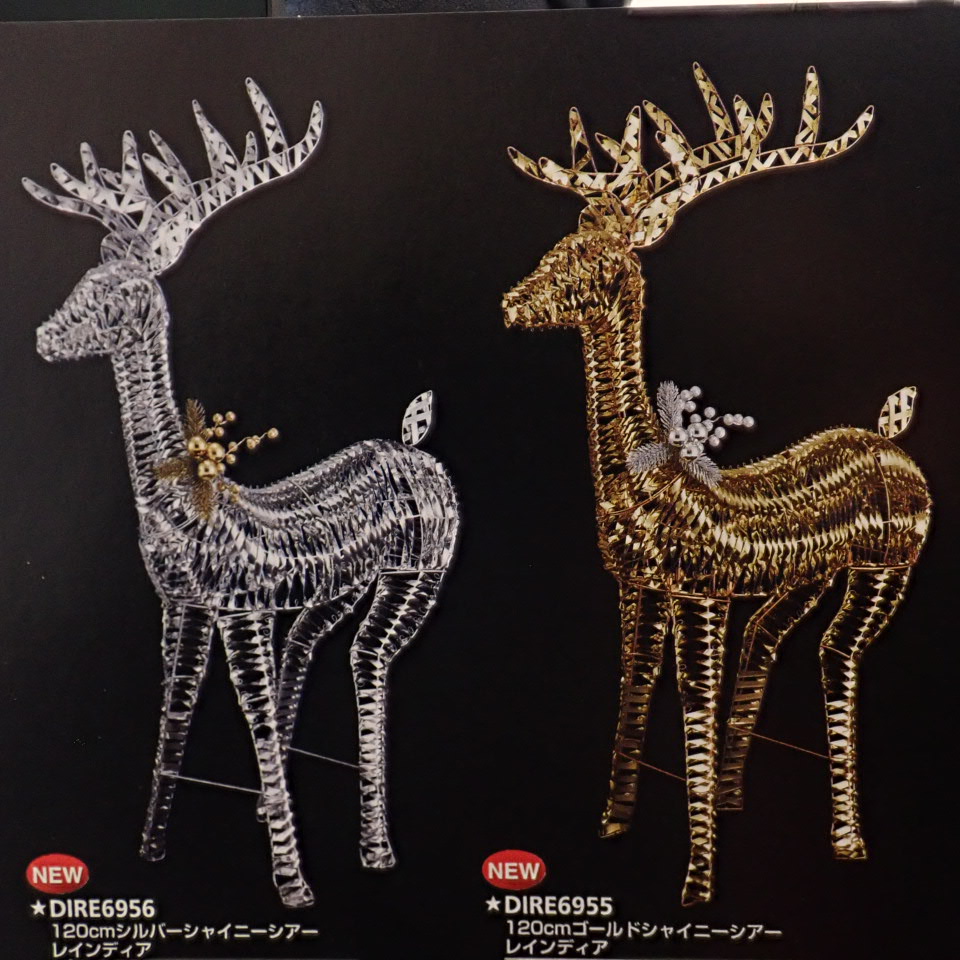 ʥС˥㥤ˡ쥤ǥģɣE