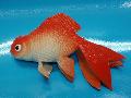 魚ディスプレイ（金魚・１２ｃｍ）ゴム製