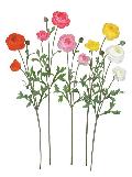 ブライダル用造花（ビクトリアラナンキュラス・ホワイト・花径5.5〜8ｃｍ）ＦＬＳ5053