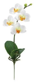 ブライダル用造花（ミニ胡蝶蘭×4・ホワイト・花径6ｃｍ）ＦＬＳ5182