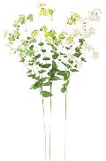 ブライダル用造花（ブプレリュウム×96・ホワイト・花径2ｃｍ）ＦＬＳ725