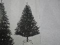卸販売クリスマスノーブルパインワイドツリー（１８０ｃｍ・ブラック）ＰＡＴＲ６９８４
