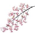卸販売造花桜（大枝・全長１４０ｃｍ花径５ｃｍ・２本入り）FLSＰ１４２７他商品同送不可