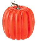 かぼちゃ・ハロウィンパンプキン（パンプキン１８ｃｍ・スチロール製）ＶＦ１２３８