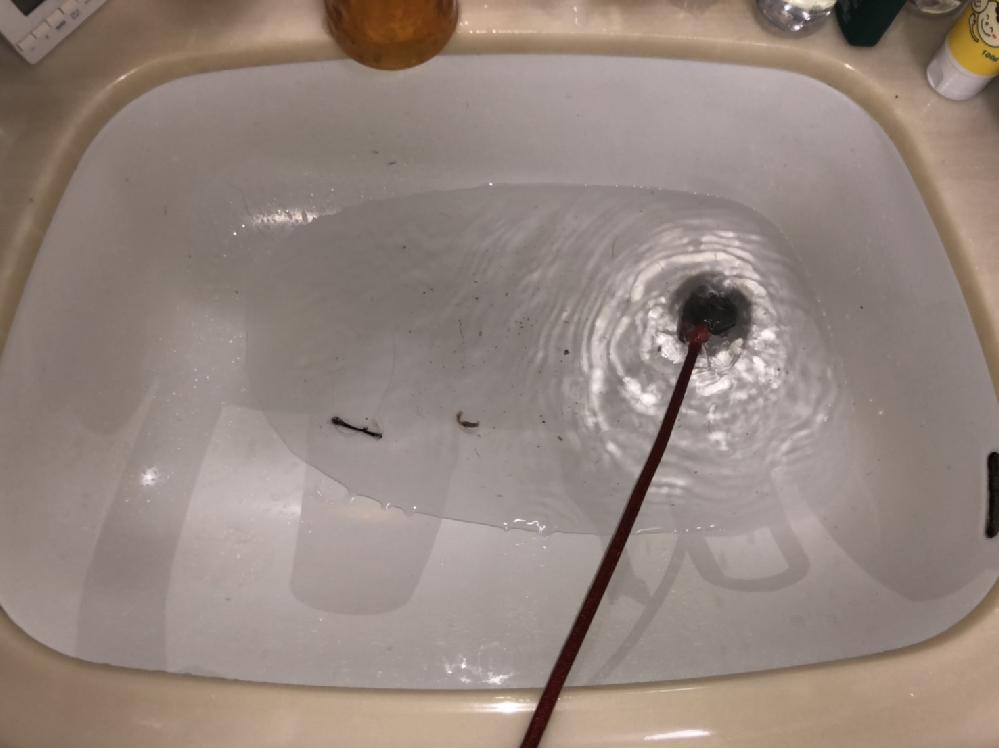 ʏ̔rǐ