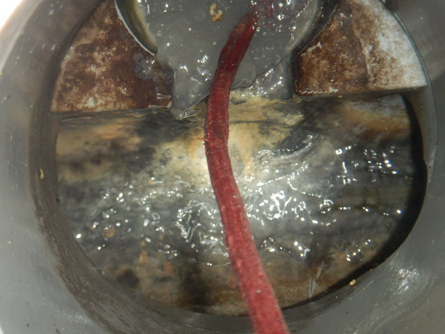 p̔rǐ