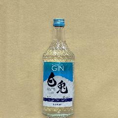 }cC e-HAKUTO-@40x@700