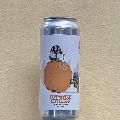 Orange Crush 500ml