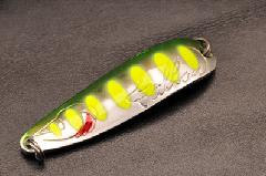 ���[�h�@�t�@�����@19g�@010�O���[���`���[�g���}��