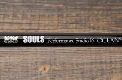 �\�E���Y�@�p�t�H�[�}���X�X�^�W�I16�@PS-O76L14S