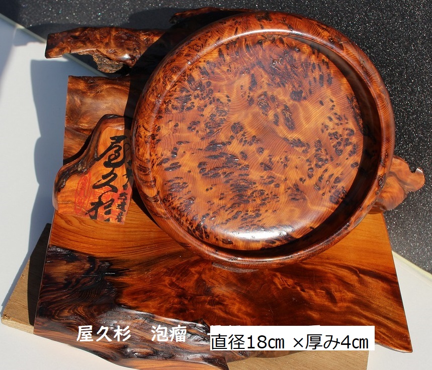 NO 796 屋久杉泡瘤 飾盆（極上品）直径18㎝ ×厚み4㎝ 乾らんま店