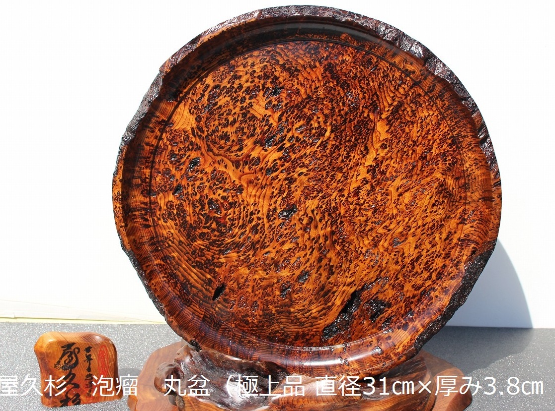 屋久杉 泡瘤 丸盆 - キッチン/食器 屋久杉 泡瘤 丸盆 - キッチン/食器