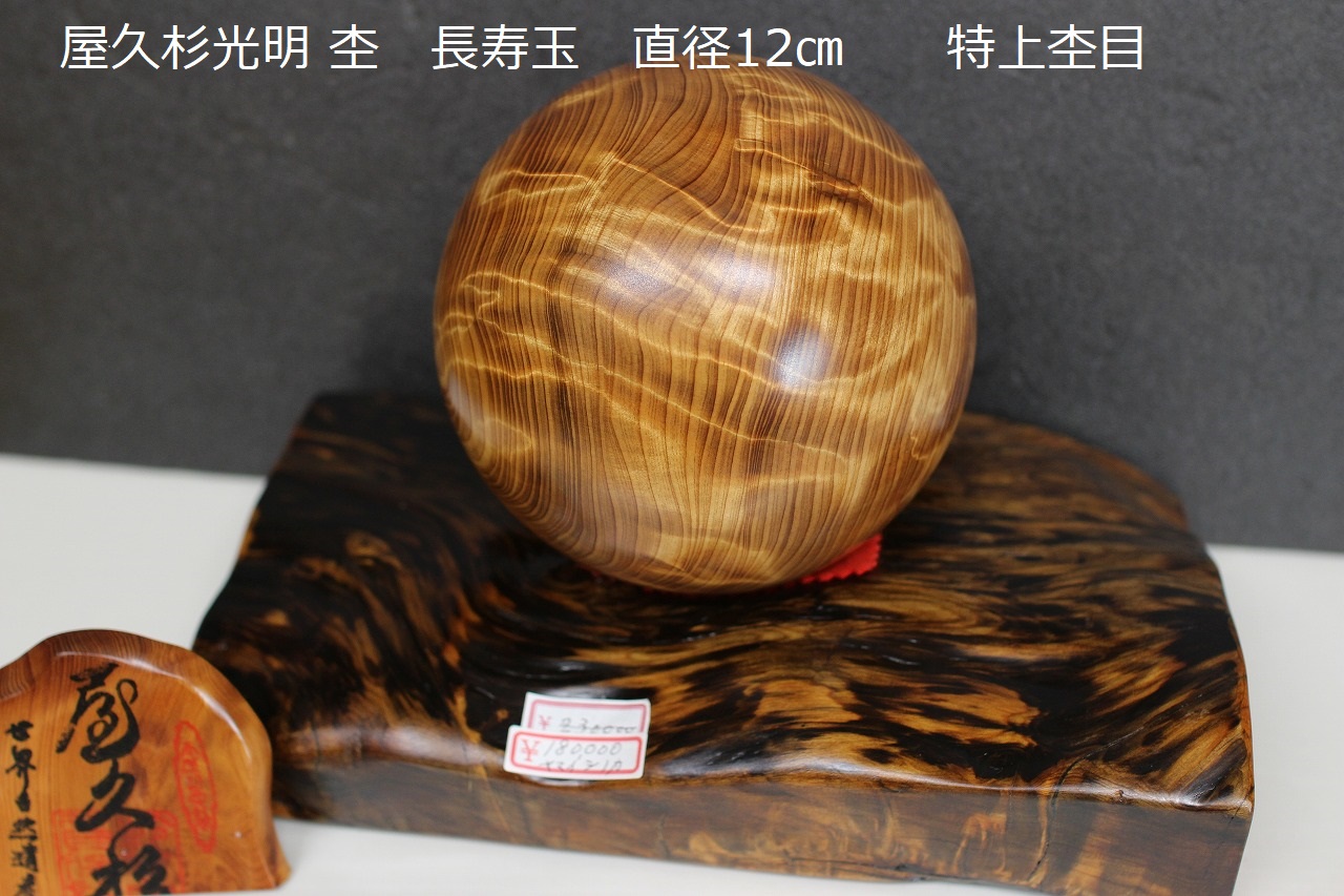 屋久杉　長寿玉 屋久杉 天然記念物 長寿玉 希少