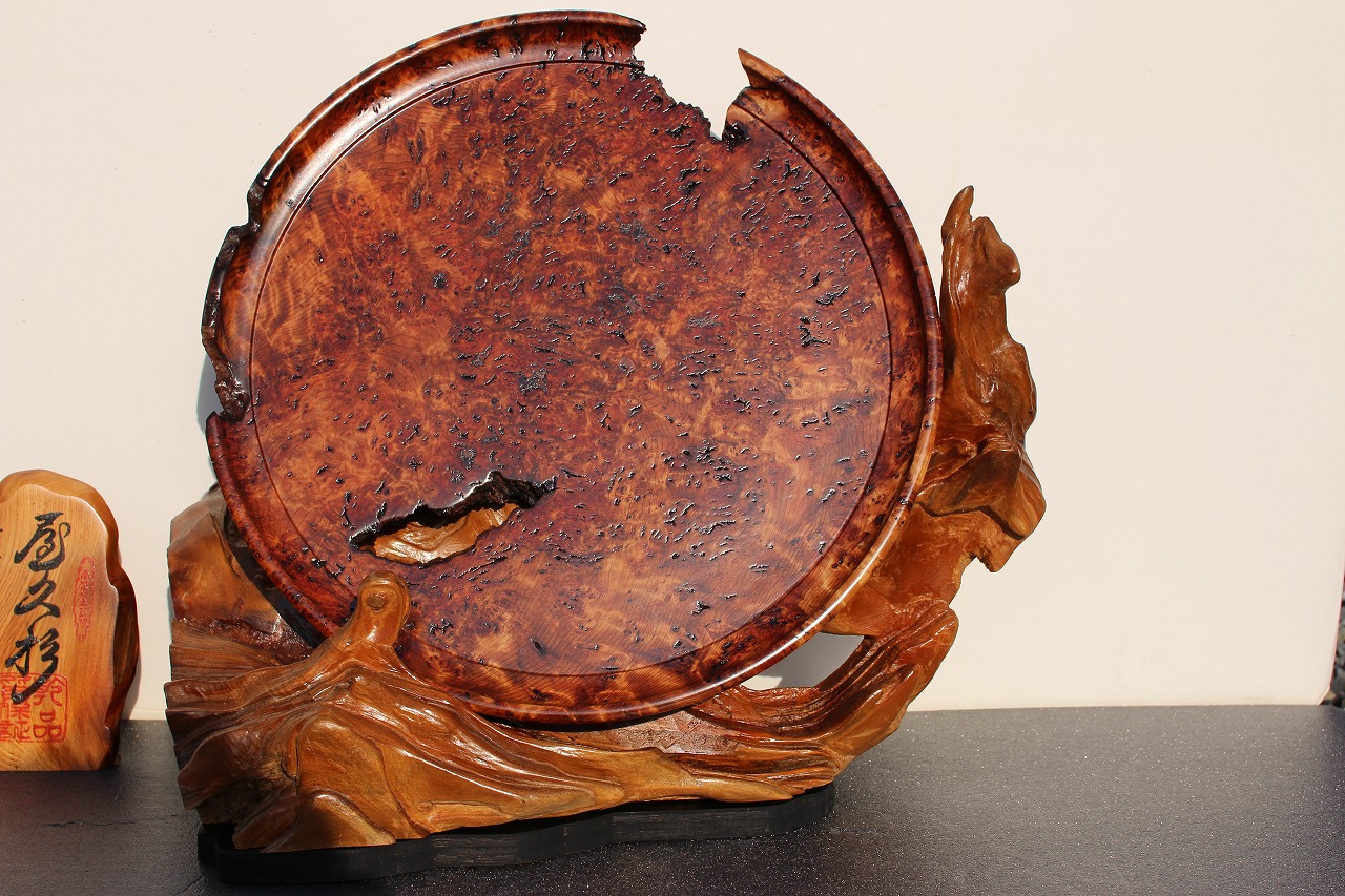 NO 958 ���׿���ˢ����ߡ�