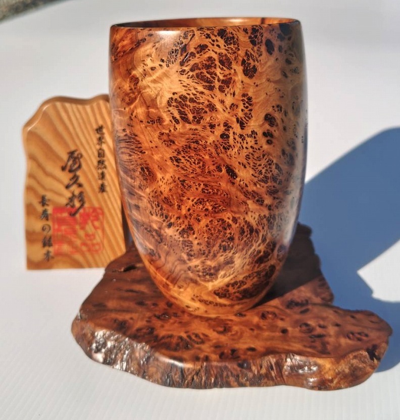 NO 1015���׿���ˢ��  �ӡ��륰�饹