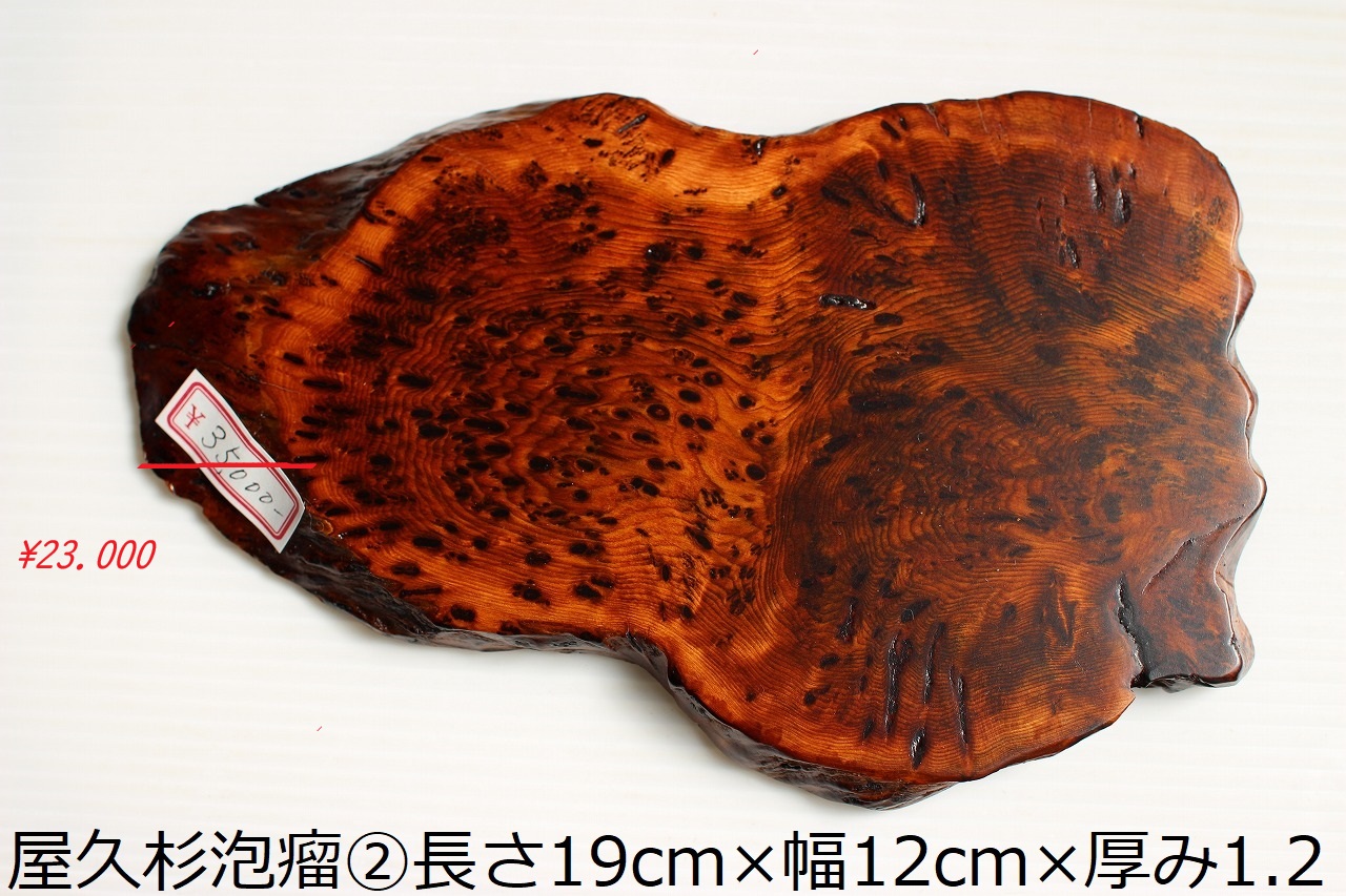 NO 951�����׿����桡ˢ�