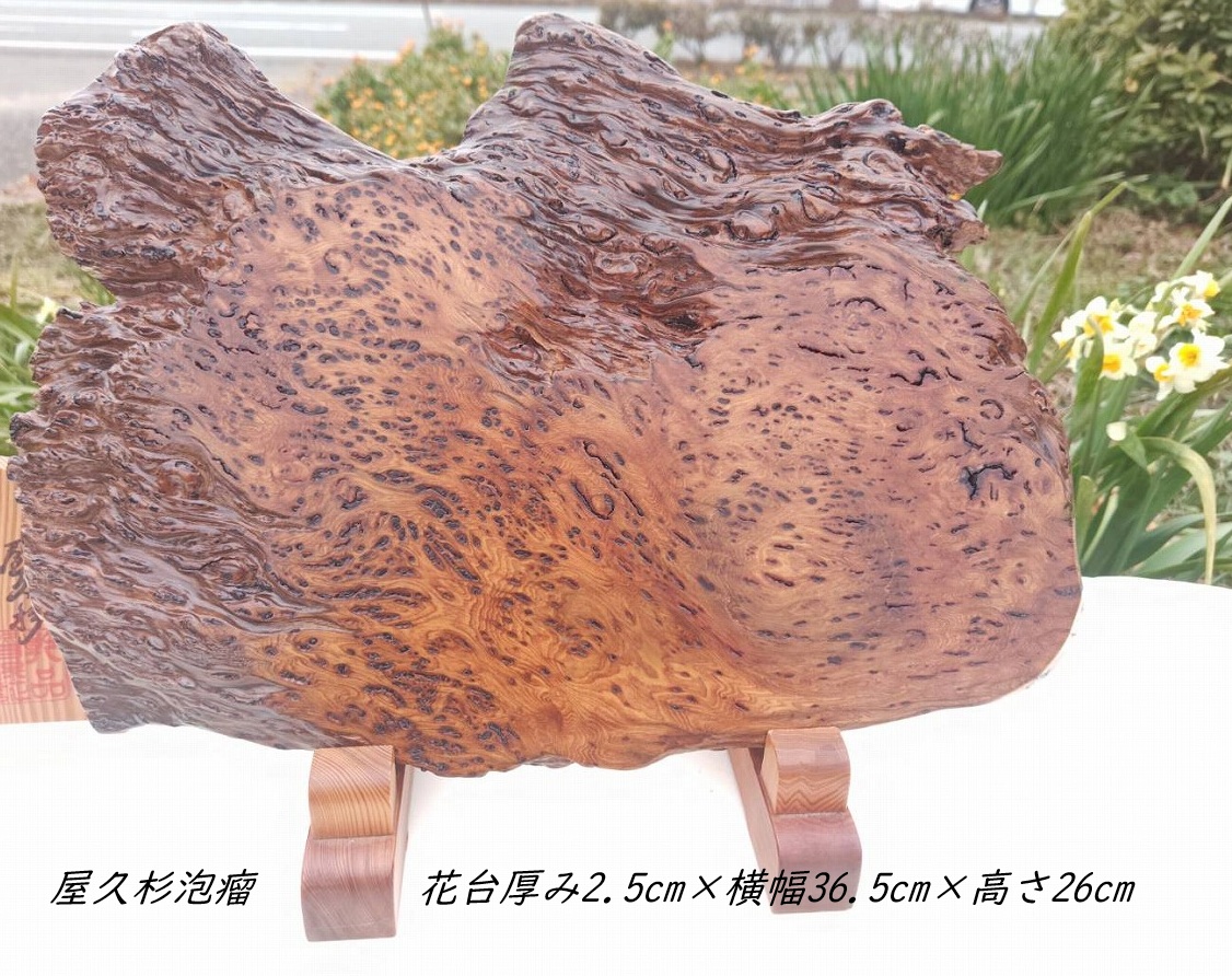 NO1083 ���׿����桡ˢ������˾���