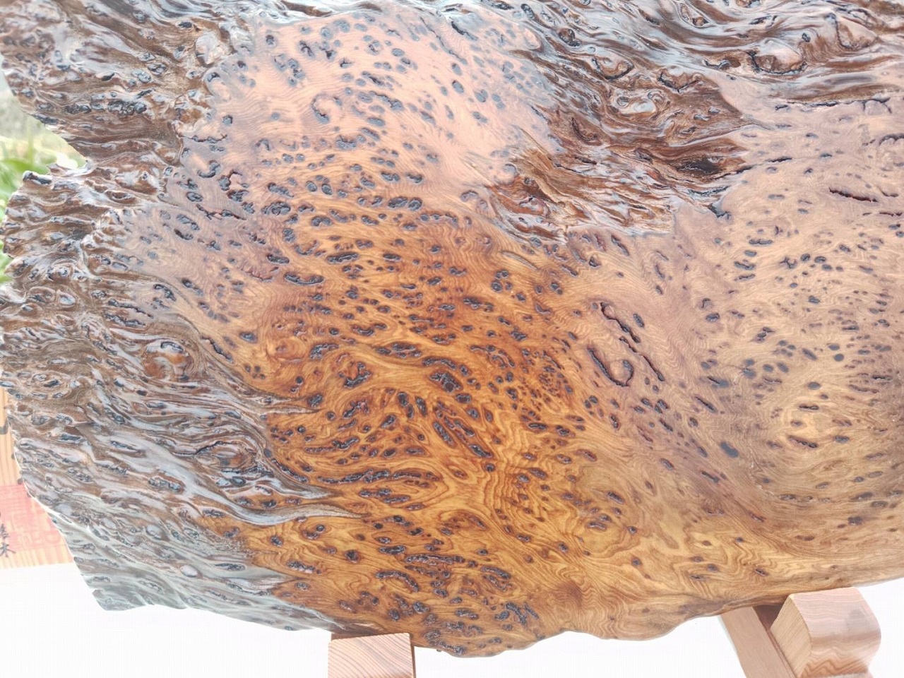 NO1083 ���׿����桡ˢ������˾���