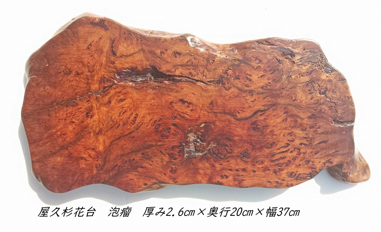 NO1084 ���׿����桡ˢ��