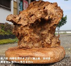 NO 1023@v AᎎR؃IuWF@@ɏi@t