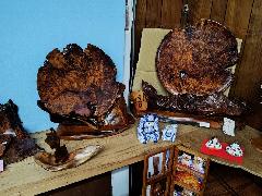 NO 901店内 2025−10月22 撮影