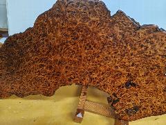 NO1061 屋久杉花台 泡瘤   極上杢