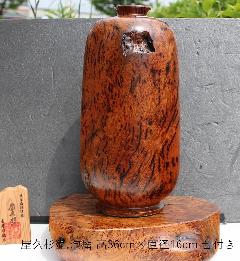 NO 1045@v.Aᎁ@@@@@@@@ @A᎑t@