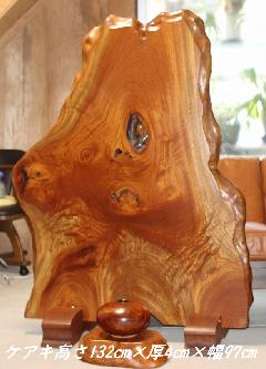 NO 1064 PL ՗@@@i@ق͂Ă܂j