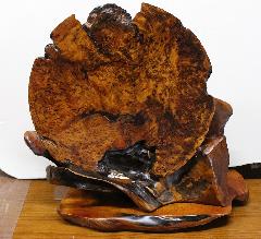 �@NO945 ���v���Aᎏ��~�i�ɏ�i�j���a37�p�~����2.5�p