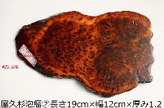 NO 951�@���v���ԑ�@�Aᎁ@